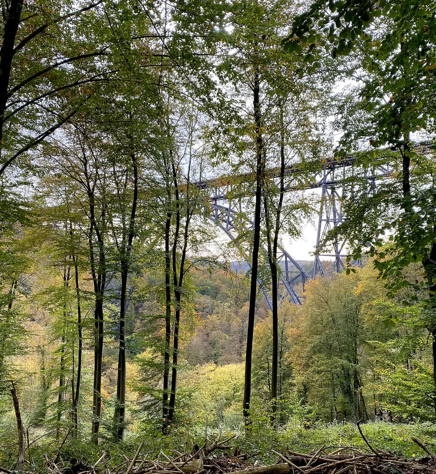 Die Müngstener Brücke über dem bewaldeten Tal der Wupper
